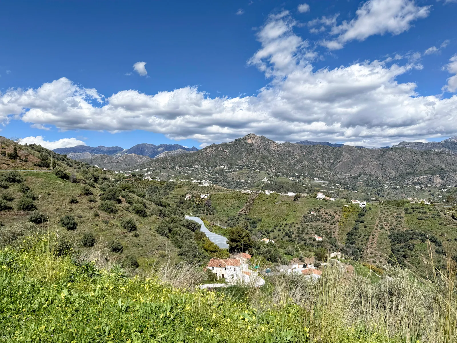 On the road to Torrox