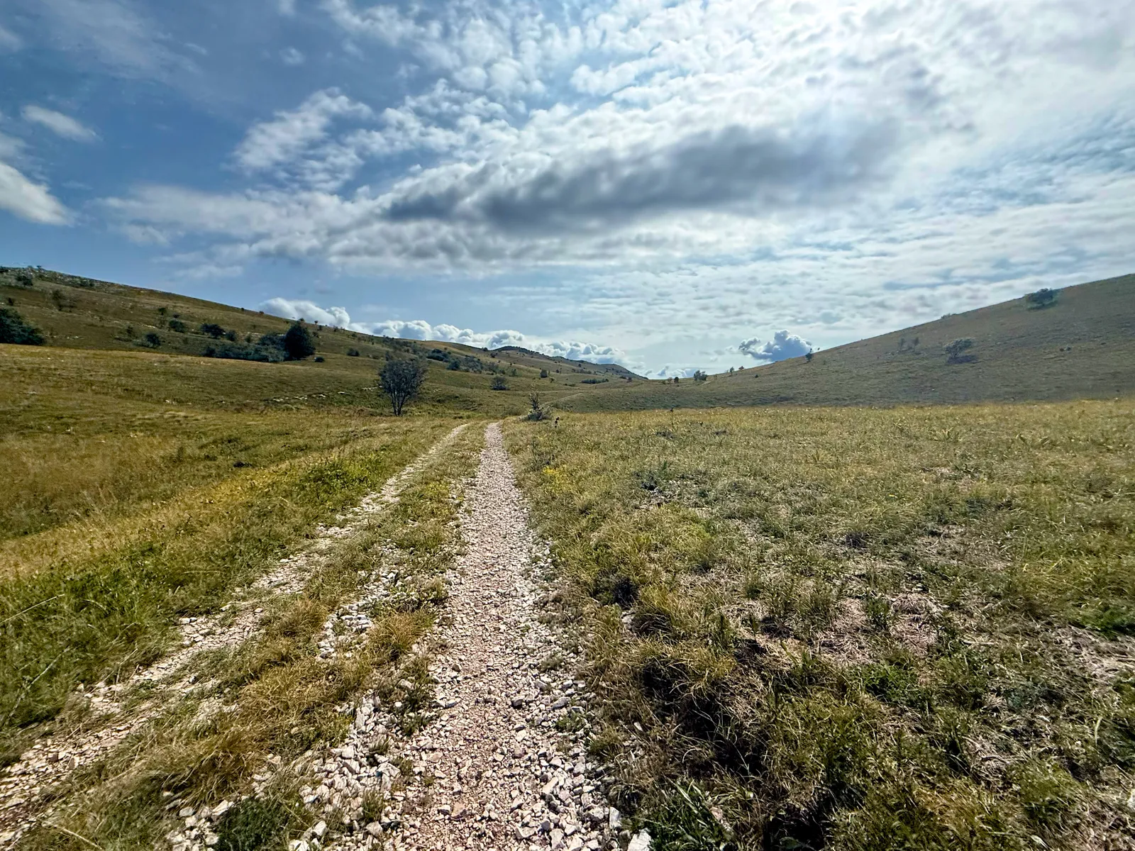 Meadows in the Kojnik reserve