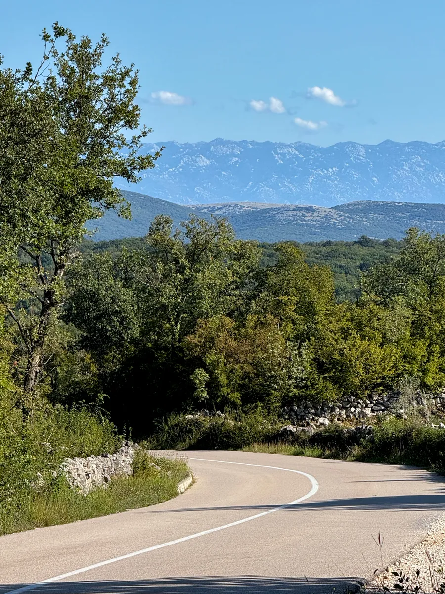 View towards the mainland