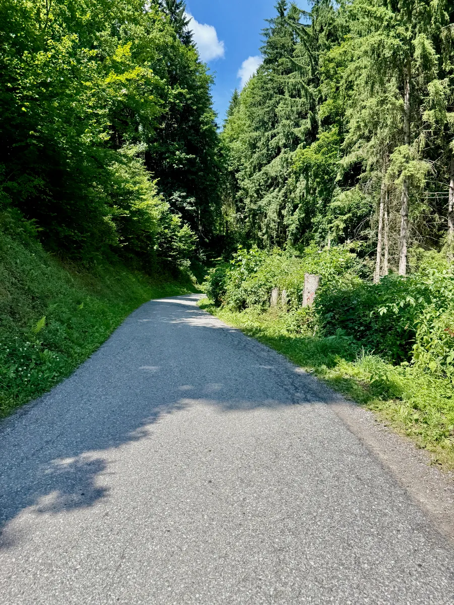 Small roads in the Mur valley