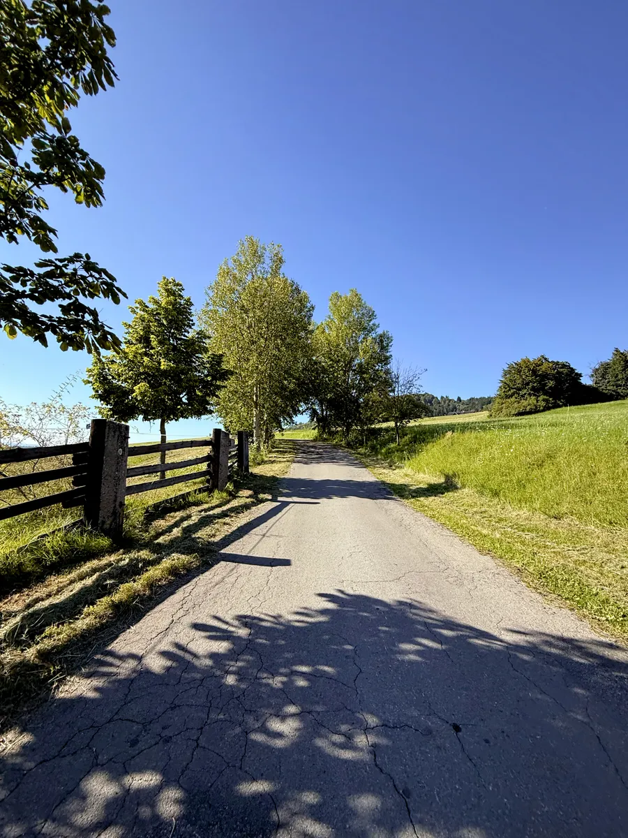 Coming back from Český ráj